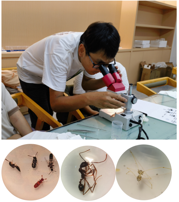 image-20231011093944-11