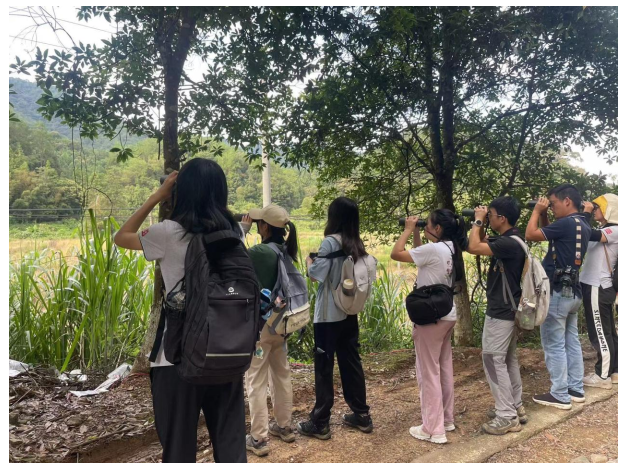 image-20231011094155-1