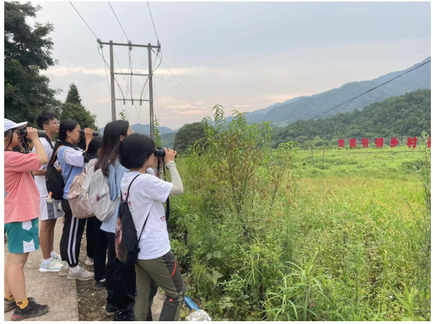 image-20231011094238-2