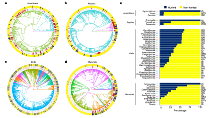 image-20231026083946-1