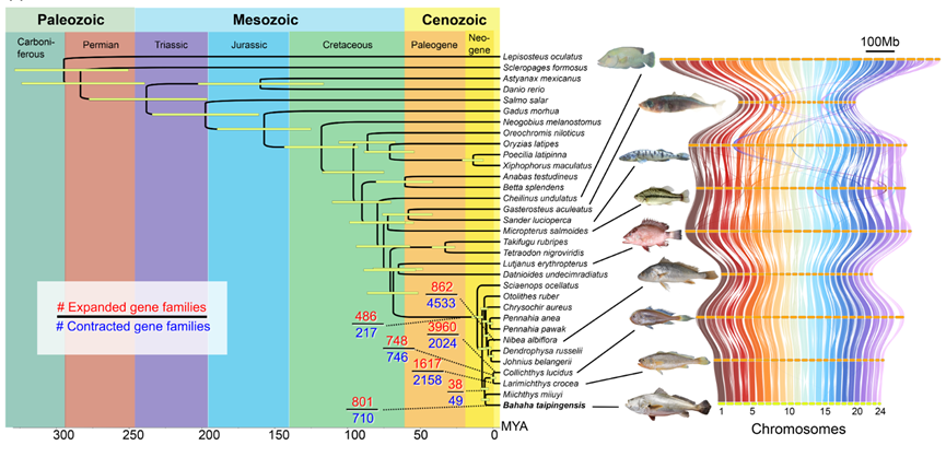 image-20240122092710-2