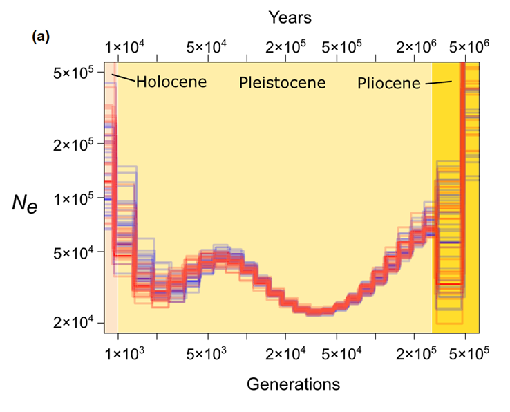 image-20240122092735-3