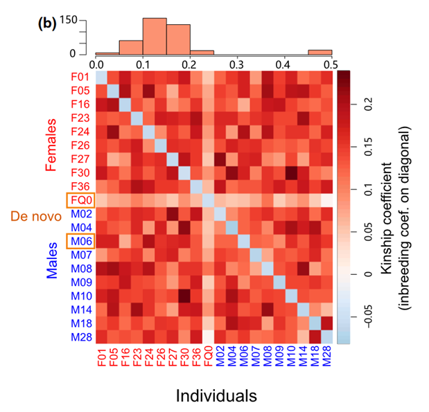 image-20240122092836-4