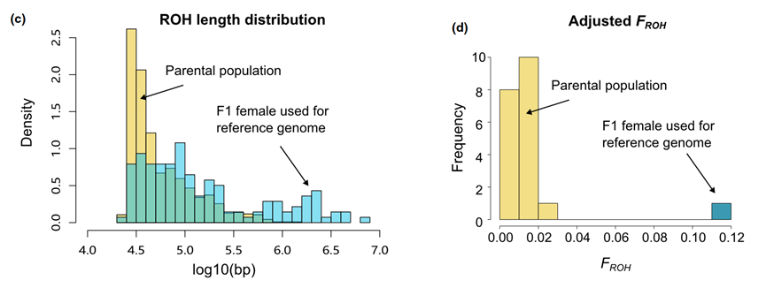 image-20240122092902-5