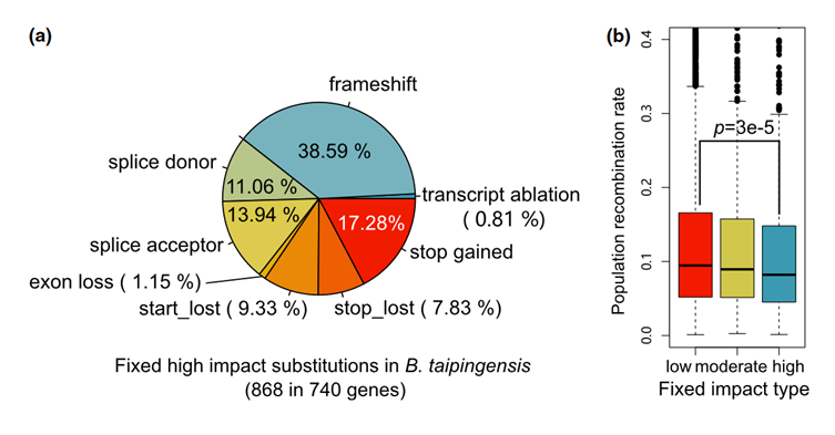 image-20240122092952-6