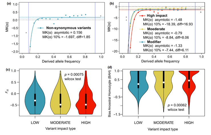 image-20240122093017-7