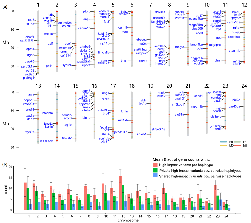 image-20240122093129-8