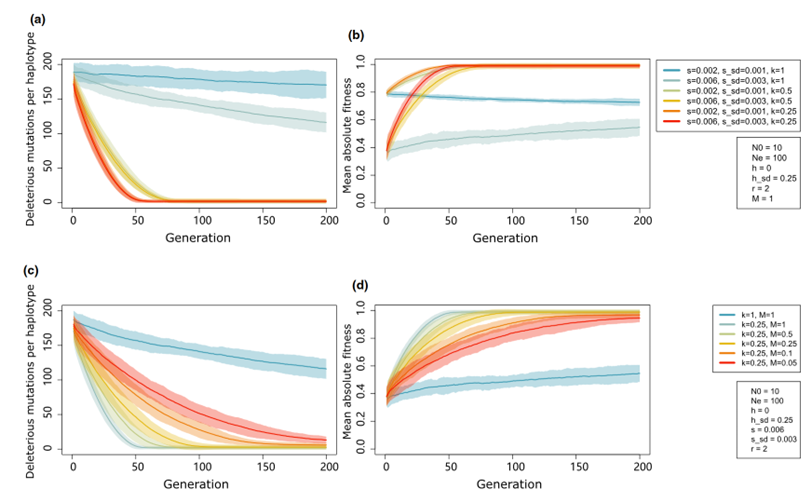image-20240122093158-9