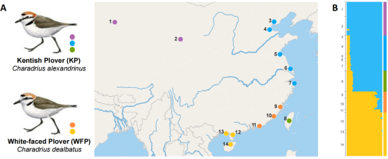 image-20240123115451-1