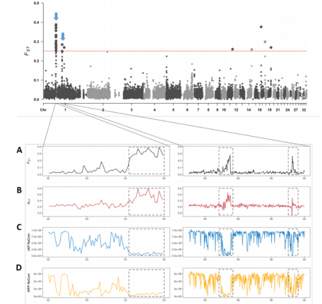 image-20240123115943-5