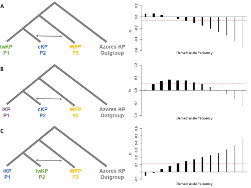 image-20240123120127-6