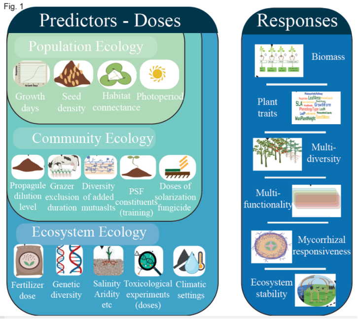 image-20240423152742-4