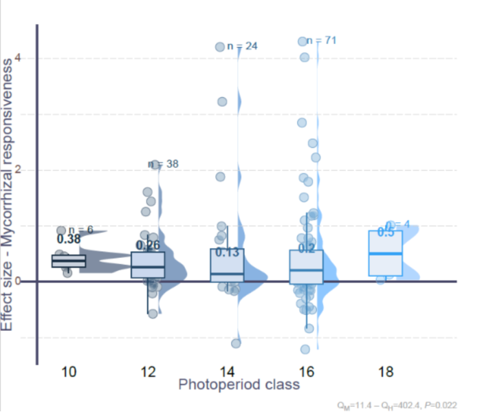 image-20240423152840-6